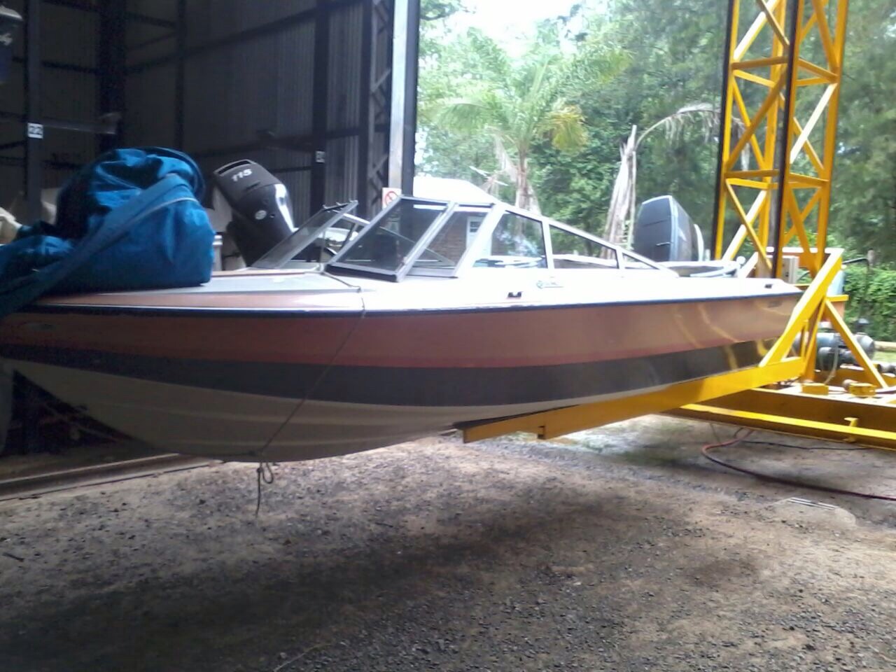 REGNICOLI 490